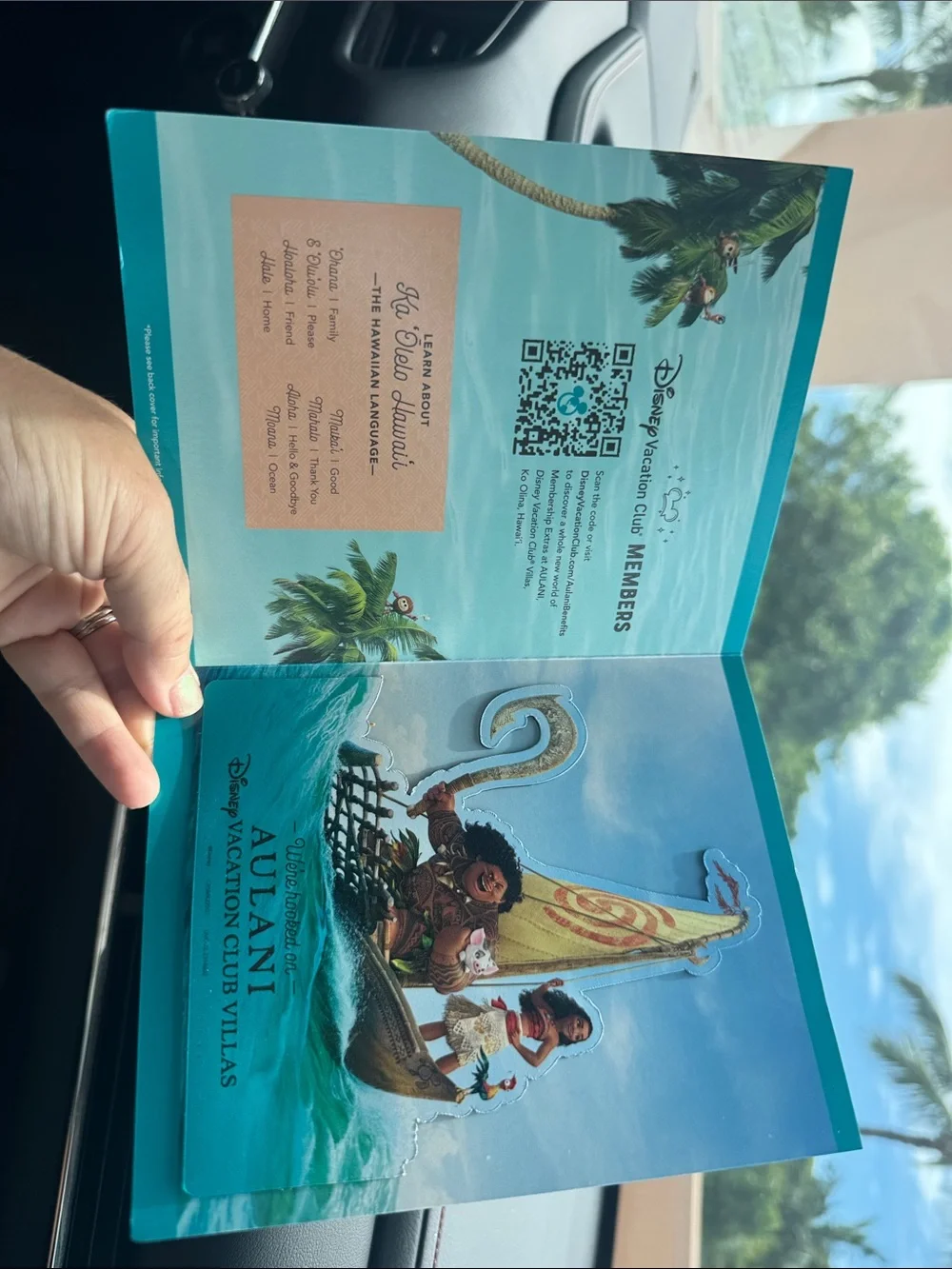 Disney DVC Moana & Maui Boat Magnet